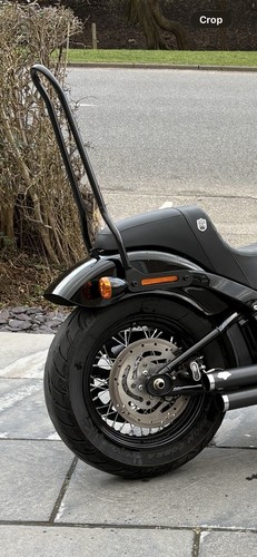 Sissy bar tall - (motea), tall.