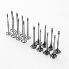 Set of Inlet & Exhaust Valves