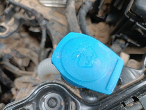 Windscreen washer bottle - bottle, /