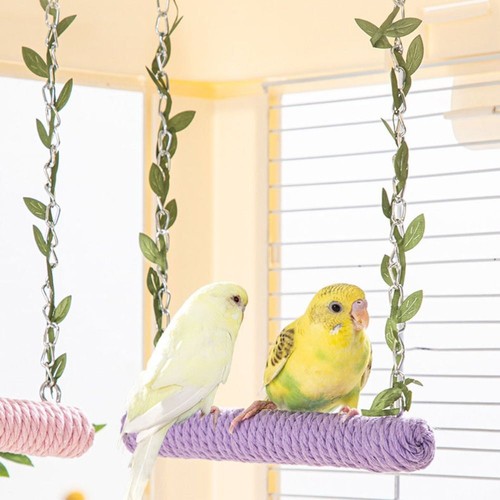 Parrot swing hanging - parrot,