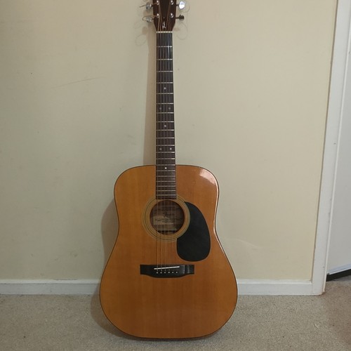 Fender dreadnought the - dreadnought,