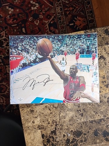 Michael jordan chicago bulls - michael,