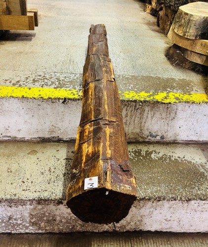 Snakewood aaa grade log - snakewood,