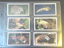 1987 Grandee BRITAIN'S