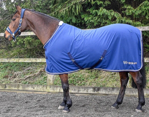 Whitaker rydal silky soft show - silky,