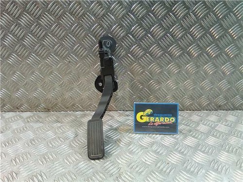 Gs1d41600 accelerator gas - accelerator,