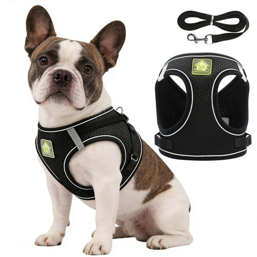 Dog harness and - and, leash