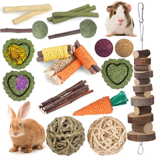 Rabbit toys guinea - guinea,