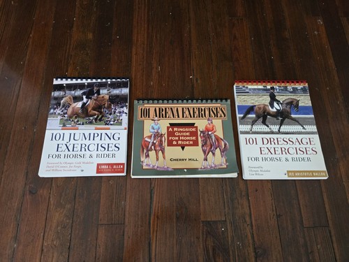 Lot horse rider exercise - lot,