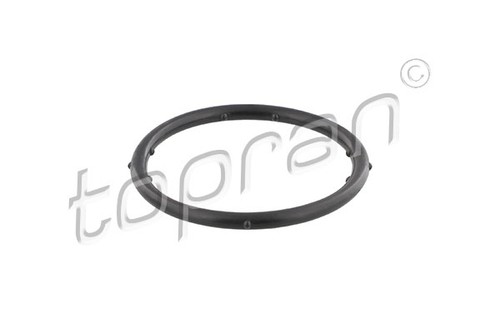 Gasket coolant flange - coolant, topran