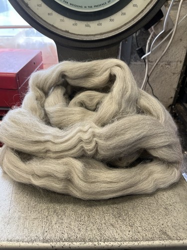 Natural grey fawn wool roving - natural,