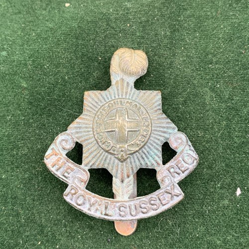 The royal sussex regiment - the,