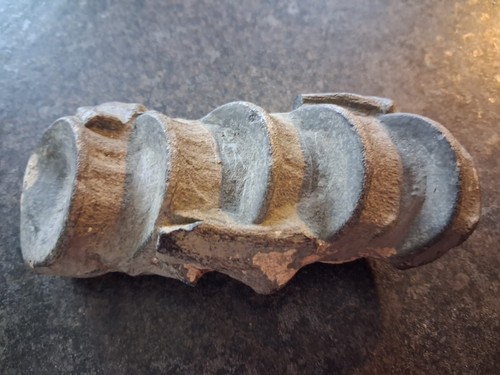 Rare ichthyosaur vertebrae - rare,