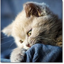 Doodlecards Happy Birthday