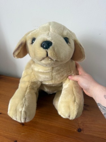 Simply adorable labrador - simply, puppy
