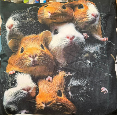New guinea pig throw - new,