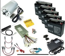 60 Volt 2000 Watt Electric Go