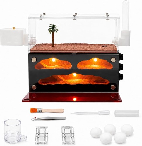 Ant farm habitat with built - habitat, built-in