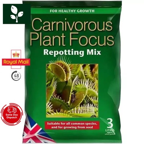 Carnivorous plant focus - carnivorous,