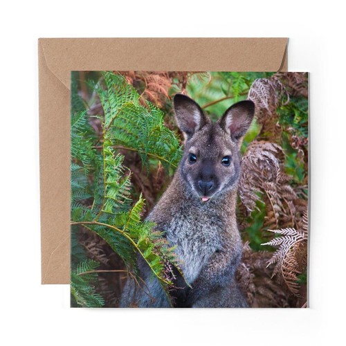 Blank greeting card red - x,