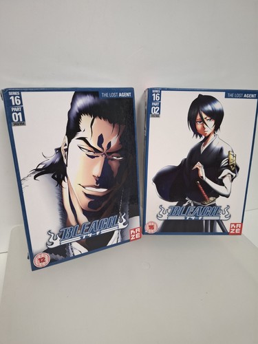 Bleach series the lost - series,
