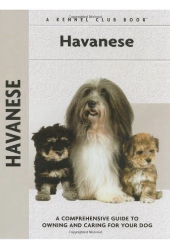 Havanese comprehensive - havanese:,