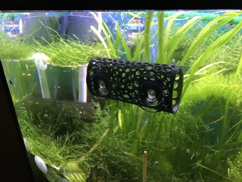 Betta bed resting - bed, tube
