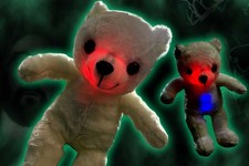 Ghost Hunting Trigger Bear EMF