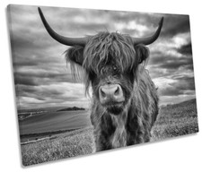Highland Cow B&W Picture CANVAS WALL ART Print Grey