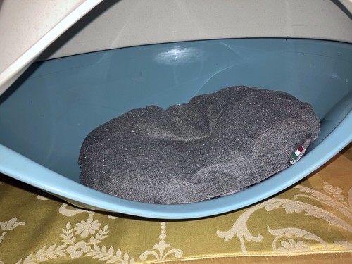 Plastic pod for cats - and, pets