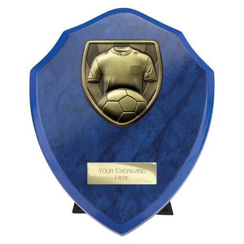 Football trophies gold shirt - football,