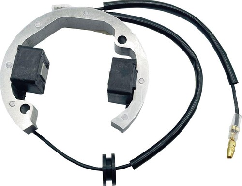 Ricks stator for ktm sx50 - ricks,