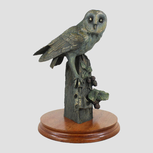 Barn owl border - owl,
