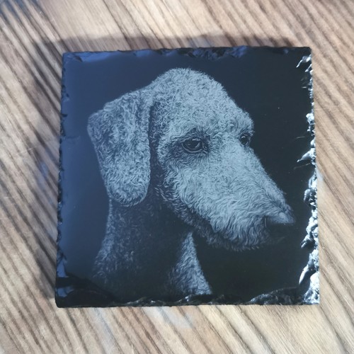Laser engraved bedlington - laser,