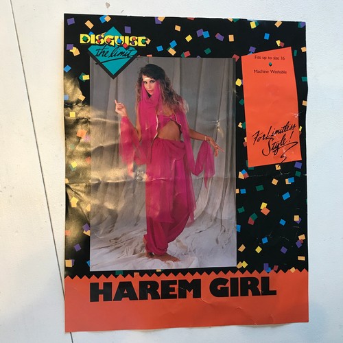 Harem girl halloween costume - halloween,