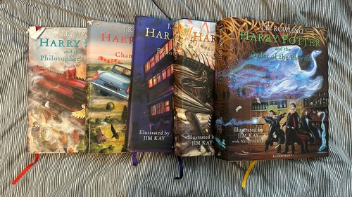 Harry potter illustrated - harry,