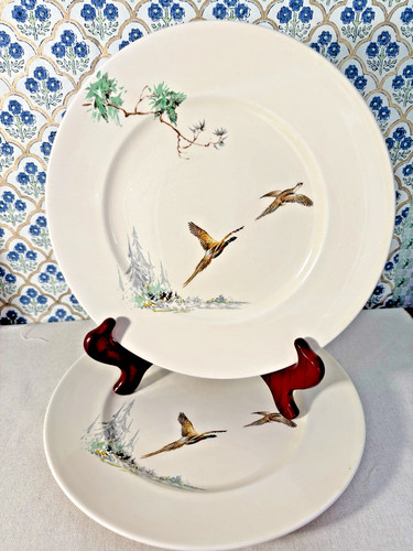 Royal doulton the coppice - royal,