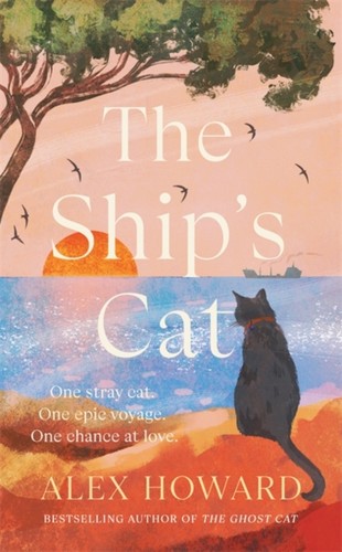 Ships cat - ships,