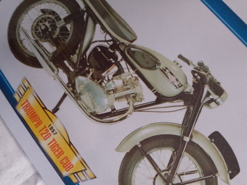 Triumph t20 tiger cub - triumph,