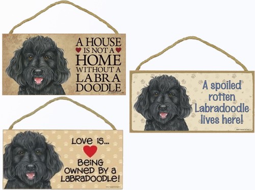 Labradoodle black dog sign - dog,