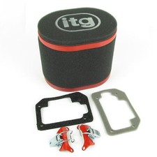 Weber DGAV DGAS ITG Air Filter