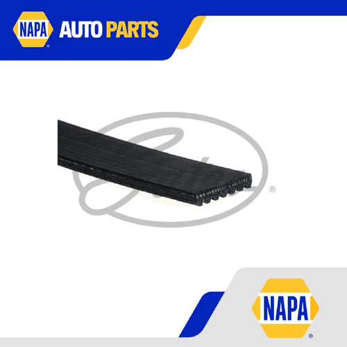 Rib multi drive belt fits - rib, v