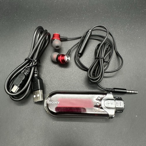 New battery sony - nw-e407, fully