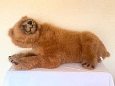 Vintage large brown bear - vintage,