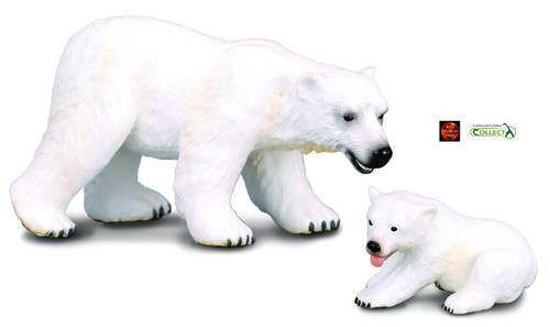 Polar bear and - bear,
