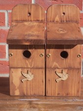 New Style Bird Box with Bird