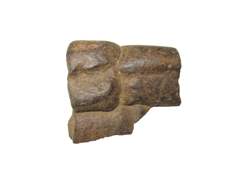 Cretaceous hell creek dinosaur - creek,