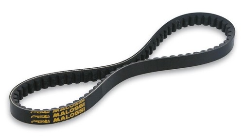Transmission belt malossi - transmission,