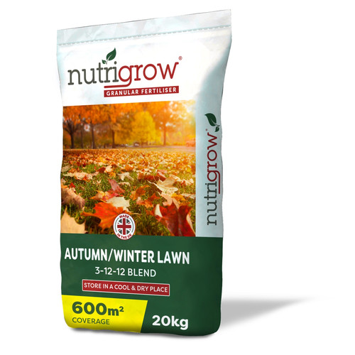 Autumn winter lawn - winter,