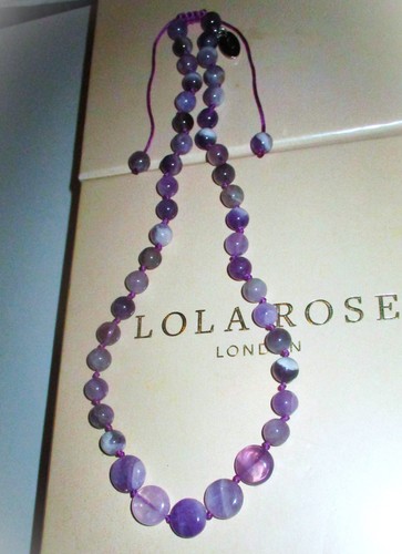 Lola rose beautiful purple - **beautiful**,